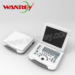 Vet Ultrasound Scanner WR-VD009